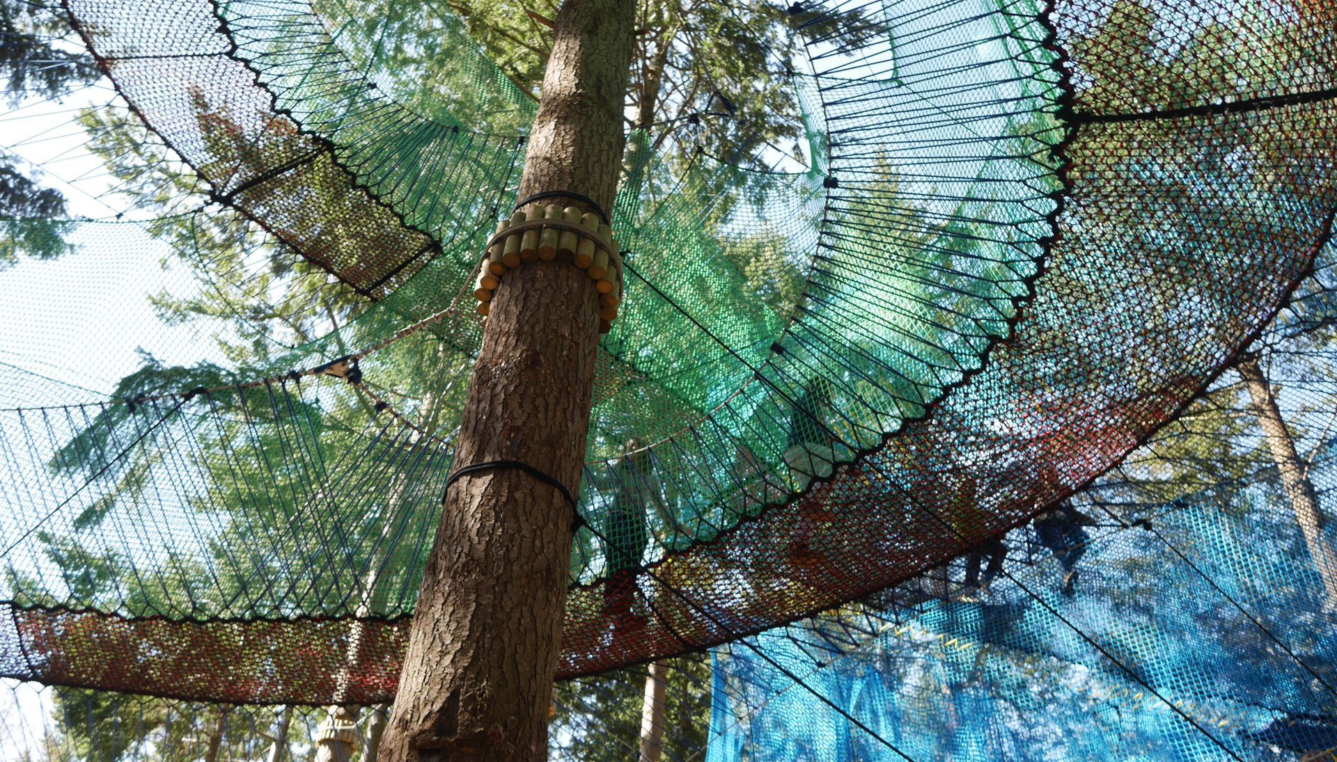 Selva Aventura