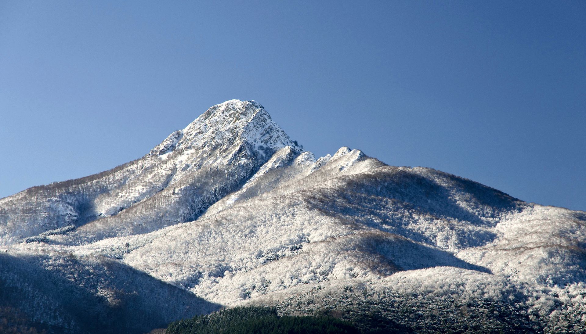 Turó de l