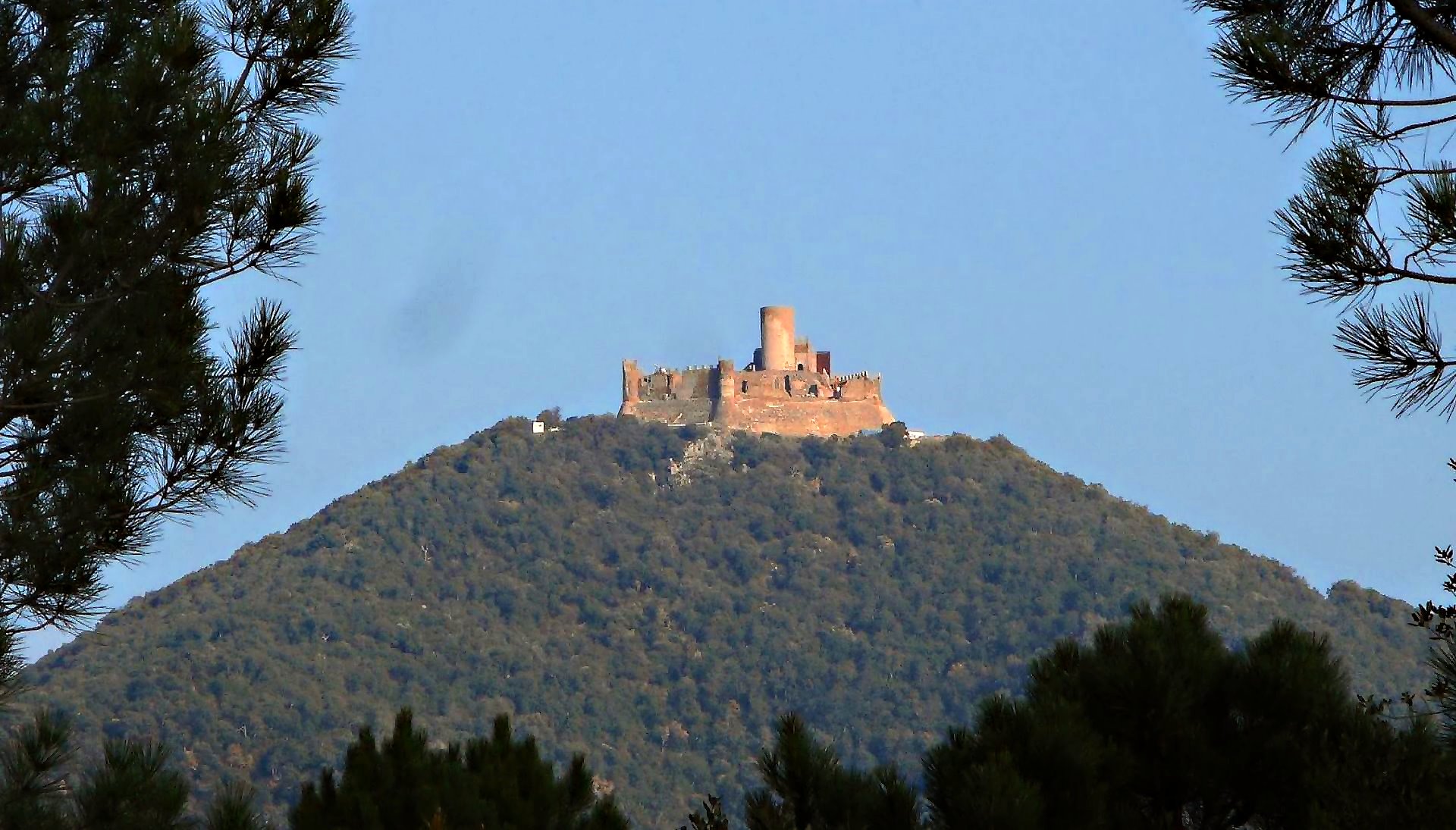 Castell de Montsoriu